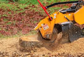 Best Tree Planting  in Dunellen, NJ