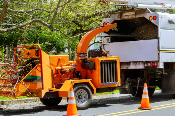 Best Lawn Drainage Solutions  in Dunellen, NJ