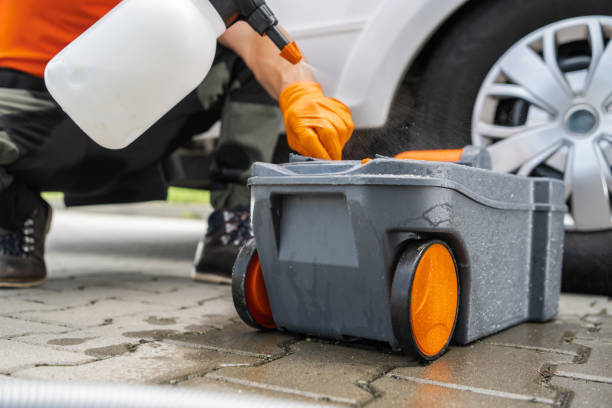 Professional Tree Removal in Dunellen, NJ